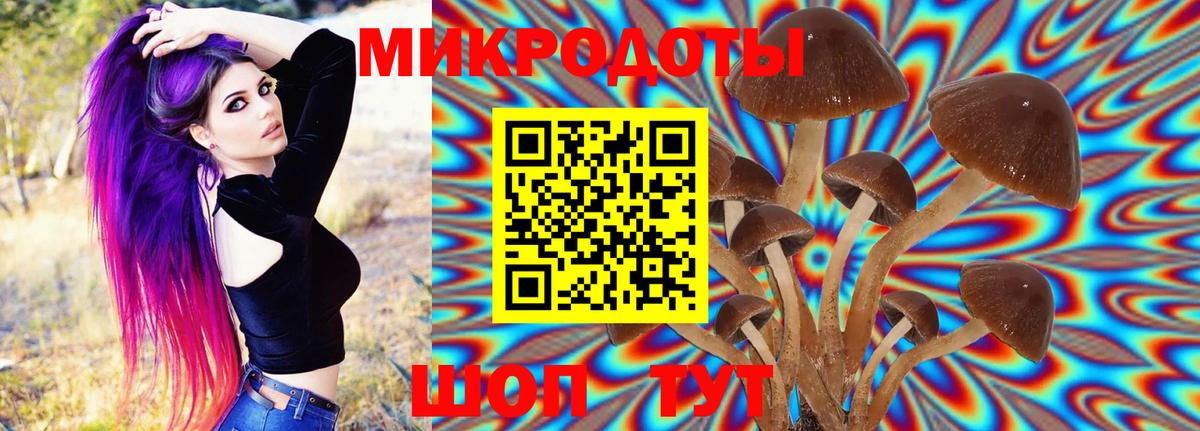 Галлюциногенные грибы Psilocybe  Галлюциногенные грибы прущие грибы  Орск  Вход с VPN 